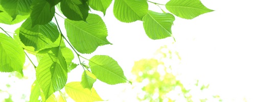 Dr.FutoreMax �h�N�^�[�E�t�g���}�b�N�X�̔��T�C�g��